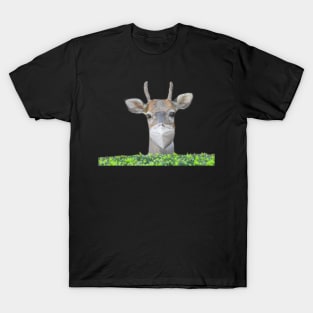 Deer Wearing A Facemask T-shirt T-Shirt